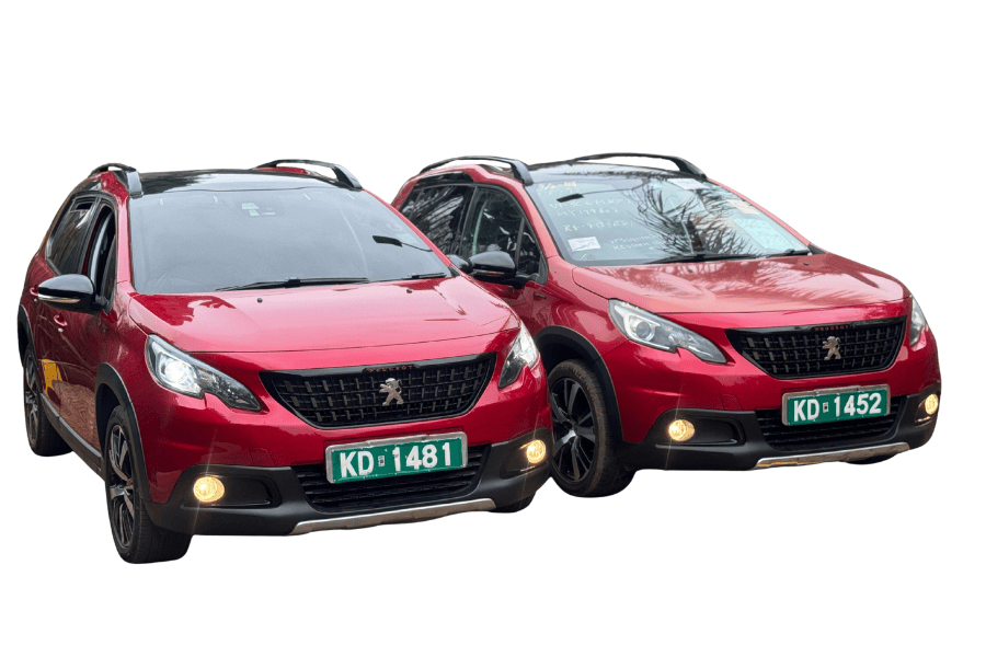 Peugeot 2008-2017 Moonroof GT Line