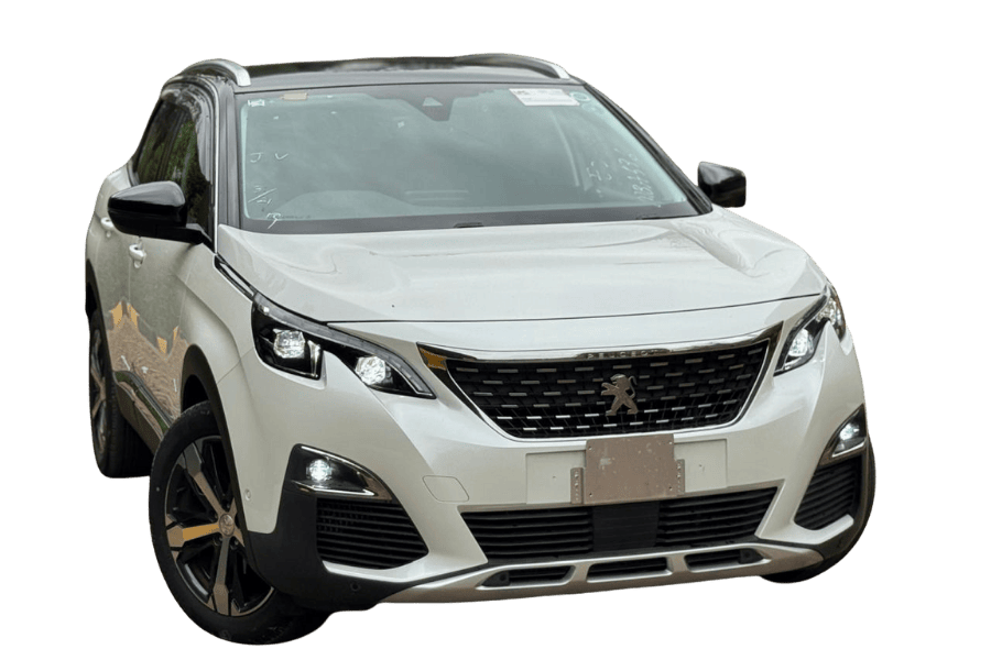 Peugeot 3008 - 2018